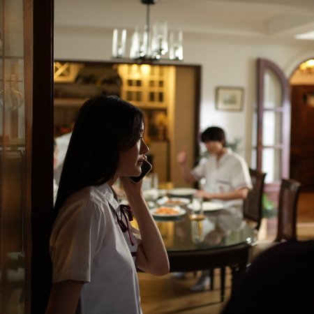 Summer Night (2024)