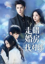 Zou Cuo Hun Fang Zhao Dui Lang Chinese Drama(2025) photo