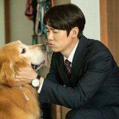 My Heart Puppy Korean Movie photo