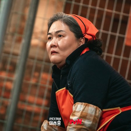 Undercover Miss Hong (2026)