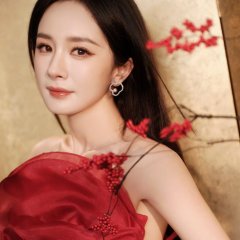 The Reign of Northern Wei Chinese Drama(0000) photo