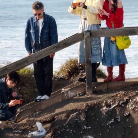 Wow the World Season 2 (2026)