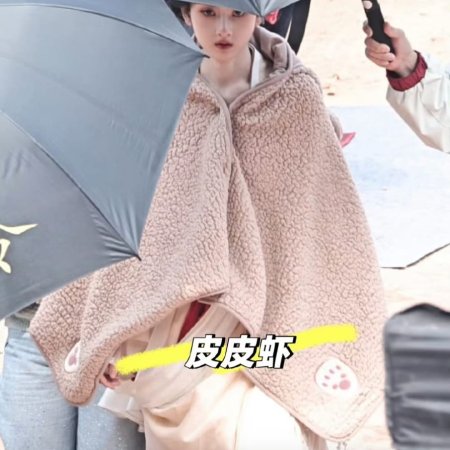 The Palace Stewardess ()