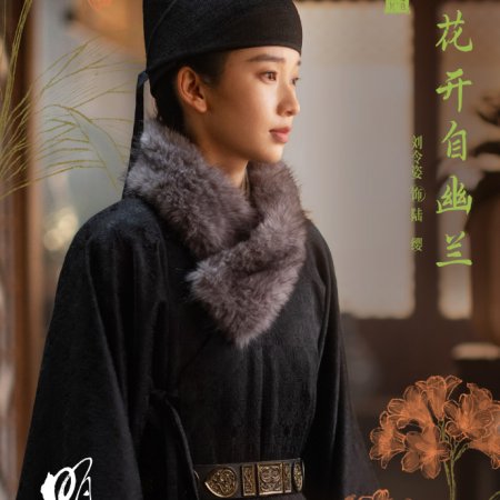 A Ming Dynasty Adventure ()