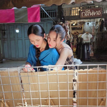 Hometown Romance (2026)