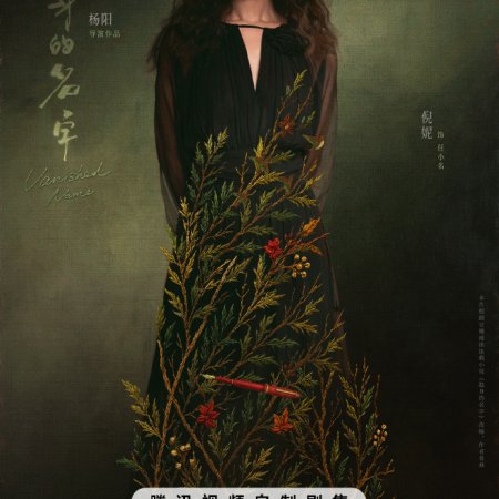 Vanished Name (2026)