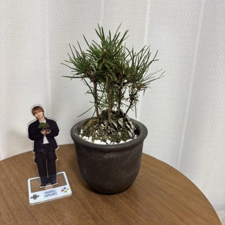 Lunch Break Lovers (2026)