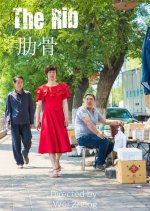 The Rib Chinese Movie(2018) photo