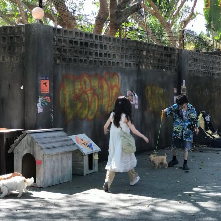 Speed and Love (2025)