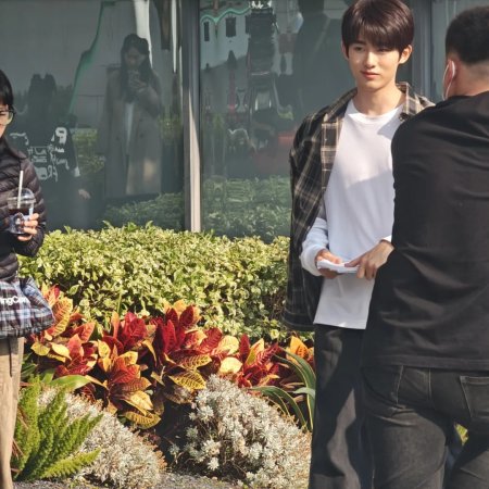 Sunshine through the Rain ()