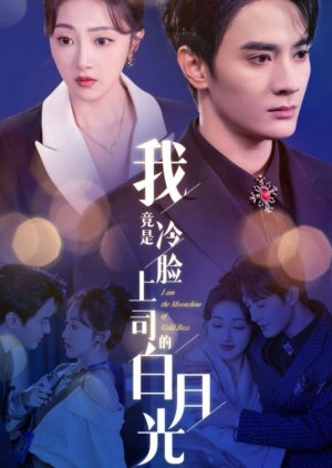 I Am the Moonshine of Cold Boss (2025) poster