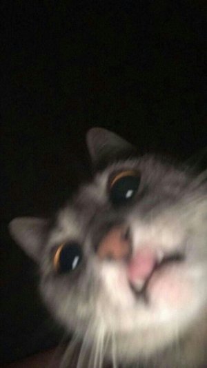 ecj