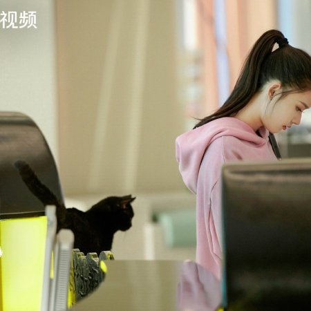 No Pain No Gain (2026)