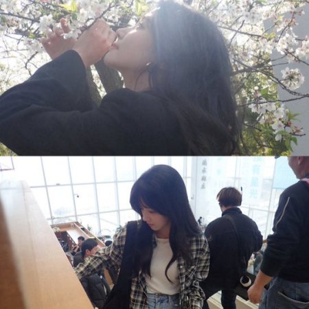 Love between Lines (2026)