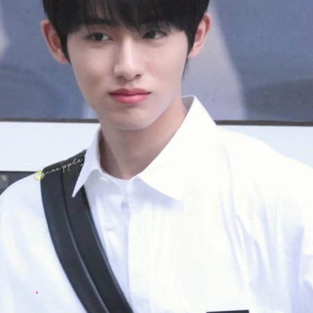 Sunshine through the Rain ()