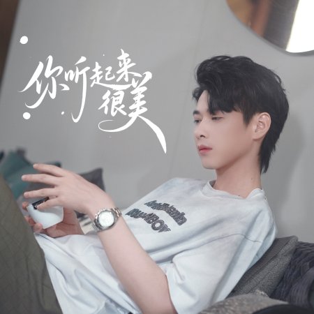 Your Beautiful Voice (2025)