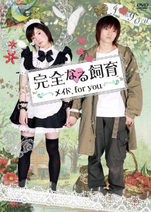 Perfect Education 7: Maid for You (2010) poster