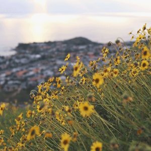 Kamisama no Boto  (2013)