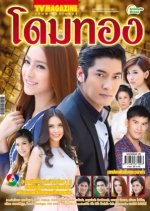 Dome Tong Thai Drama(2013) photo