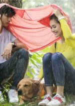 Hero Dog Season 2 Chinese Drama photo