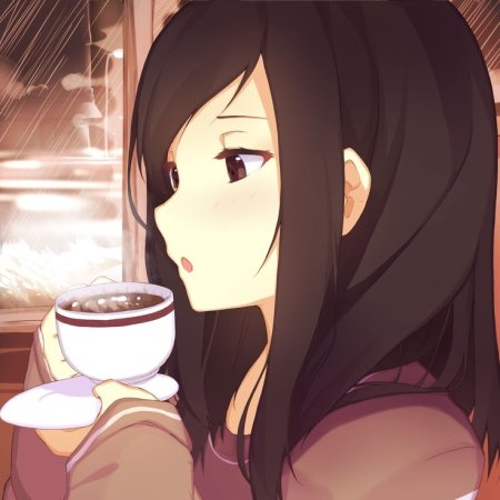 Kamisama no Boto  (2013)