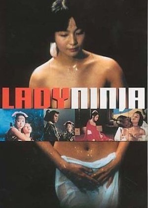 Lady Ninja: Reflections of Darkness (1996) poster