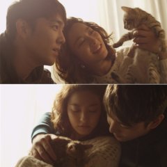 The Cat Funeral Korean Movie photo
