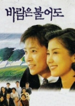 Blowing of the Wind (1995) poster