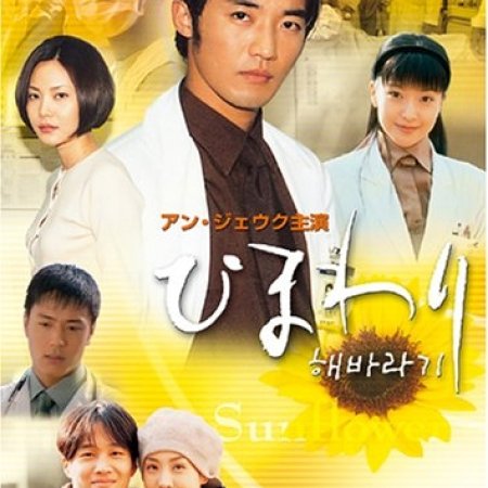 Sunflower (1998)