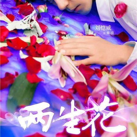 Kamisama no Boto  (2013)